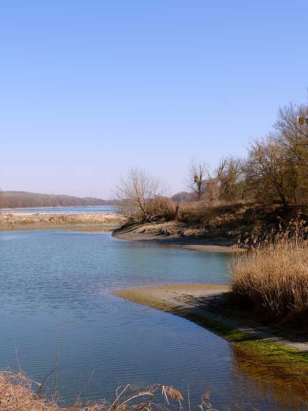 Wandern im Nationalpark Donau-Auen in Orth an der Donau, Niederösterreich