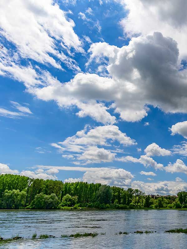 donau nahe im österreichischen nationalpark donauauen bei orth an der donau