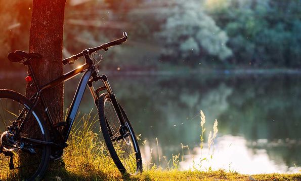 Mountainbike steht am Flussufer bei einem Baum, sonnige bunte Sommerlandschaft